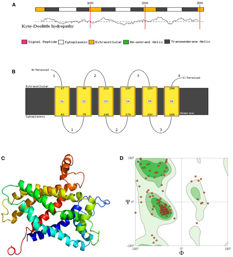 Figure 6