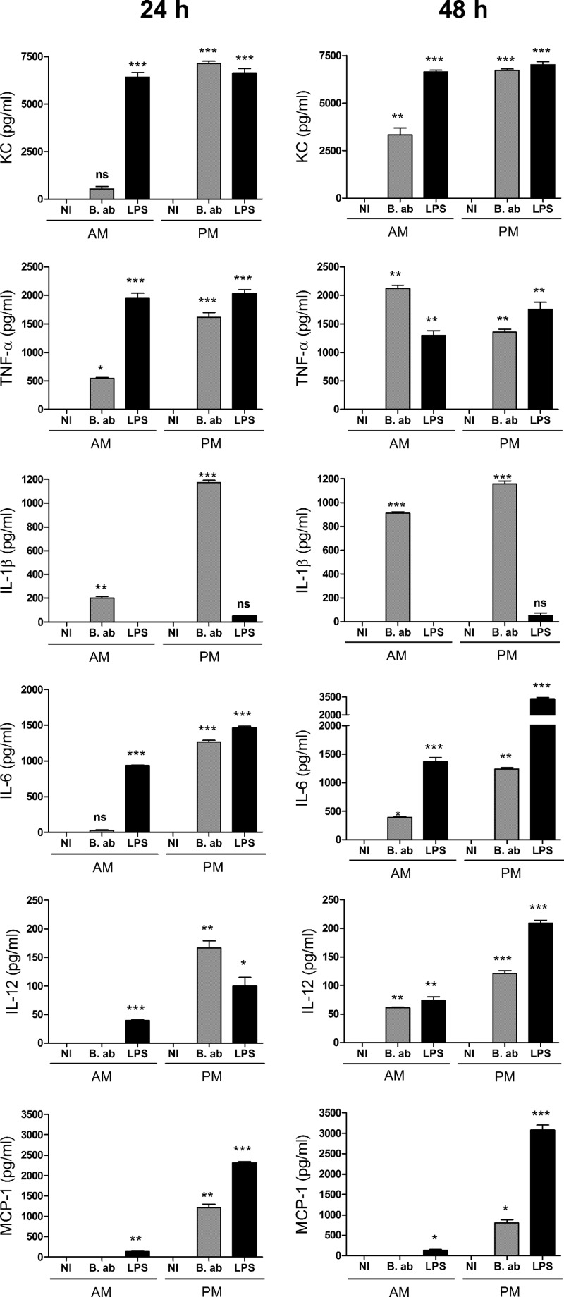 FIG 3