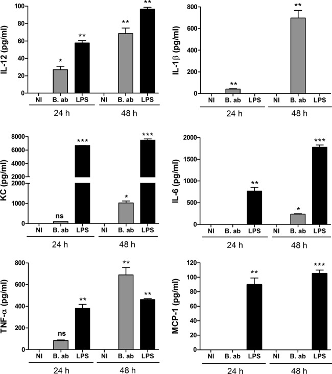 FIG 2