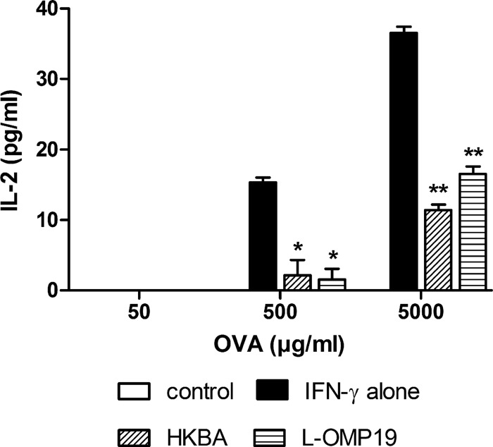 FIG 8