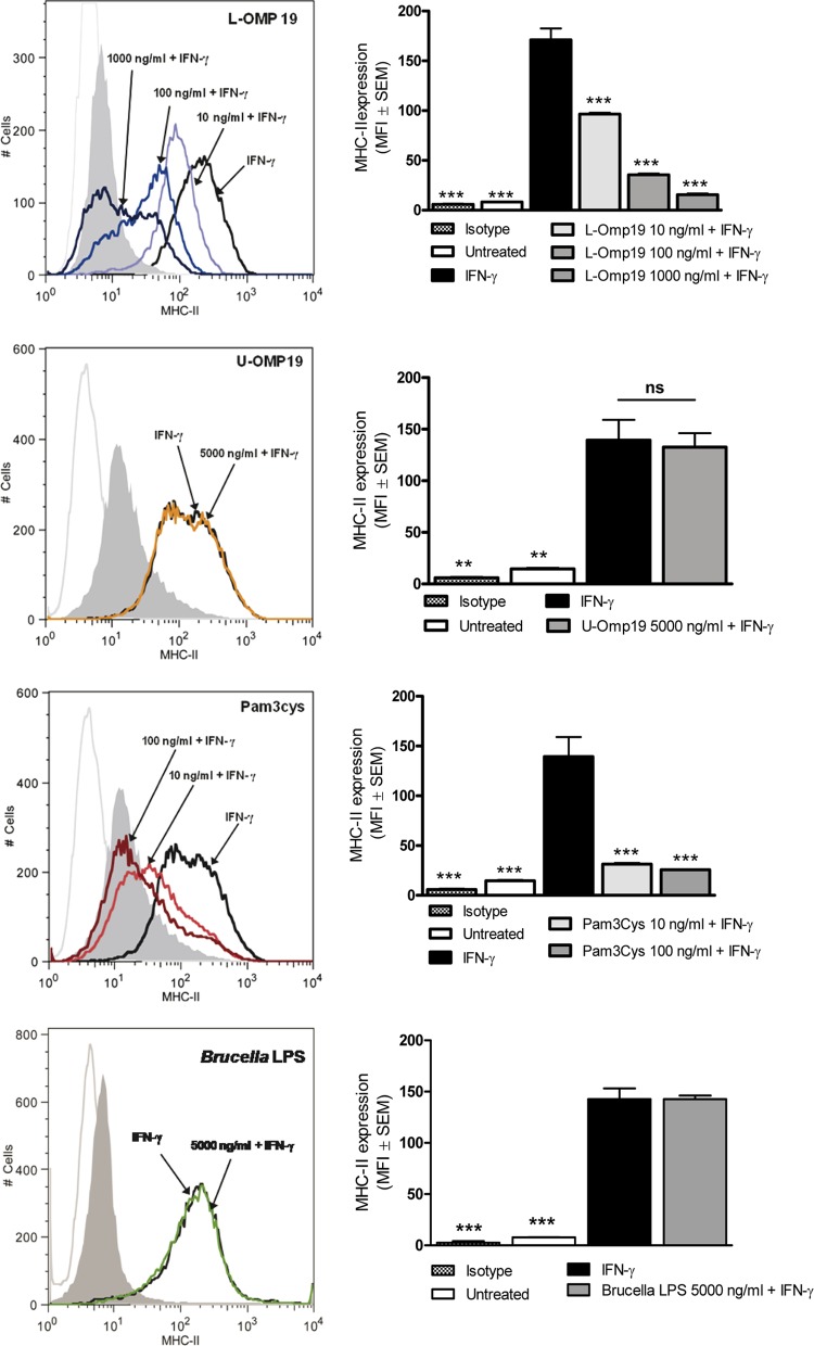 FIG 6