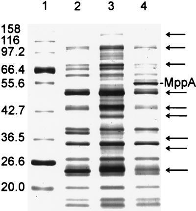 FIG. 4