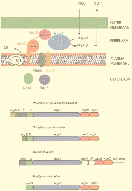 FIG. 4