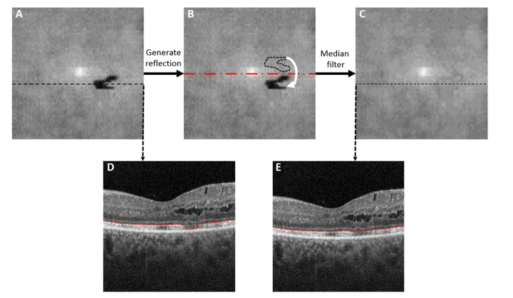 Fig. 2