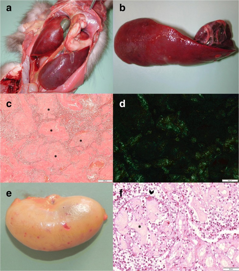 Fig. 8