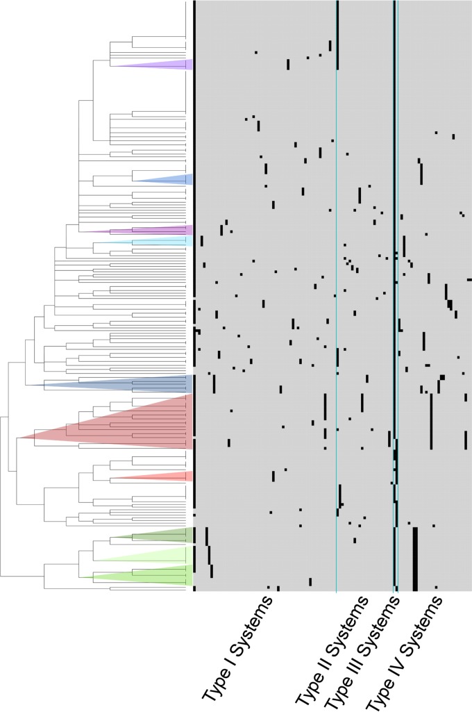 FIG 1 