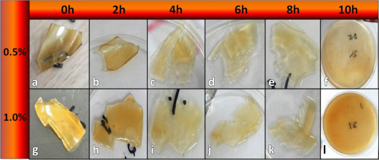 Fig. 14