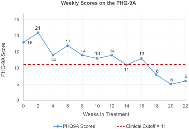 FIGURE 1