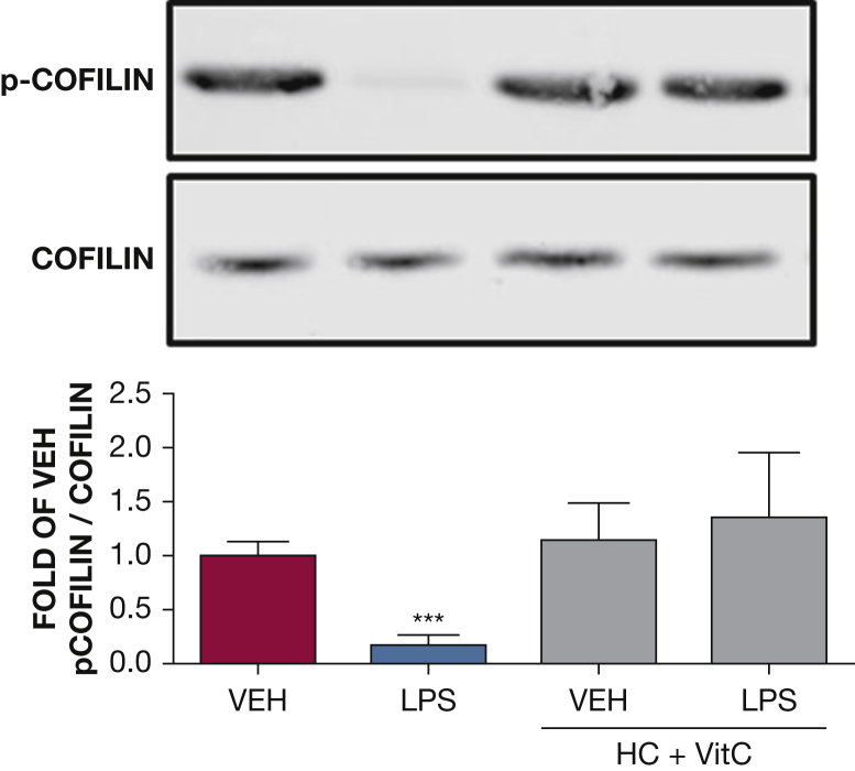 Figure 6