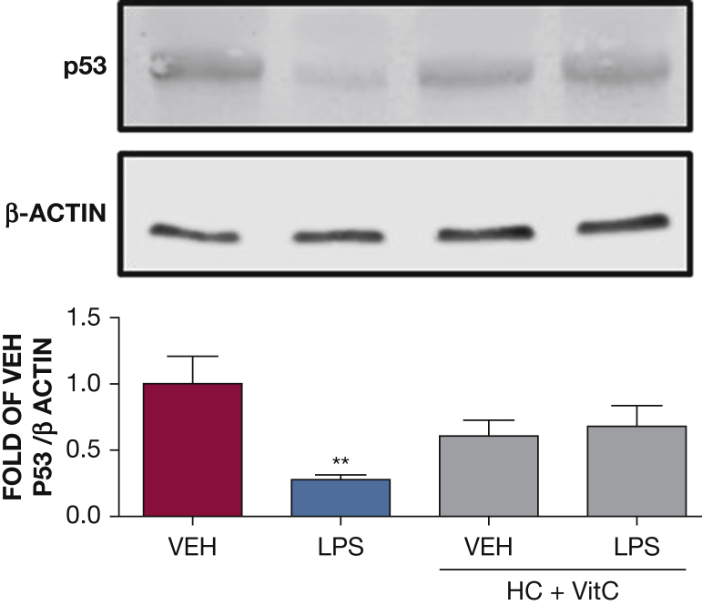 Figure 5