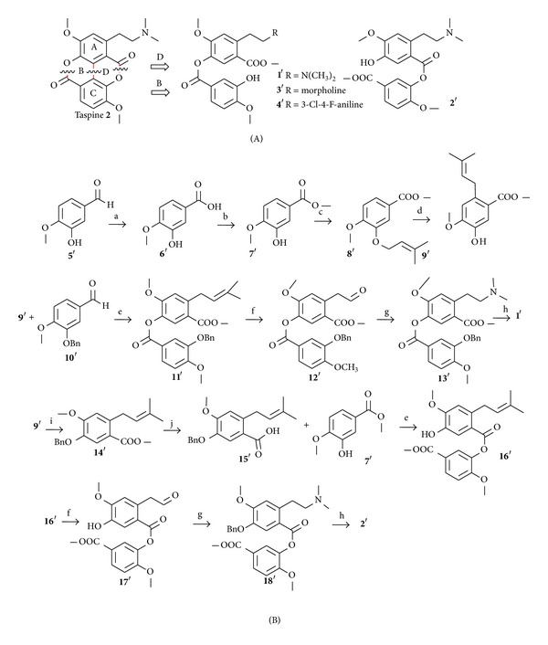 Scheme 3