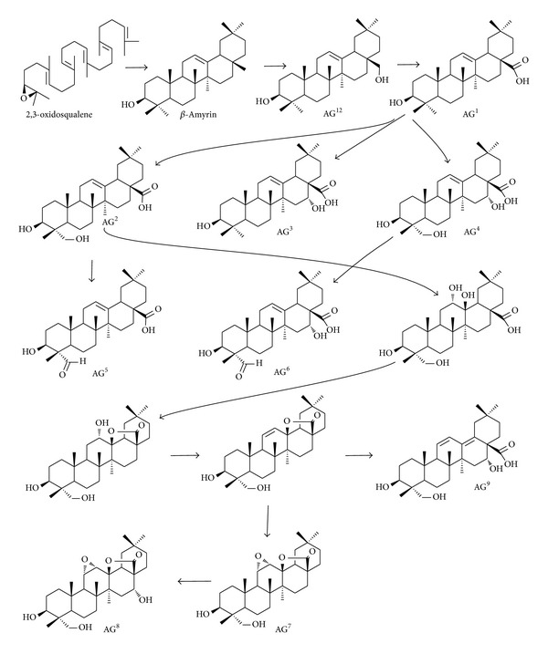 Scheme 2