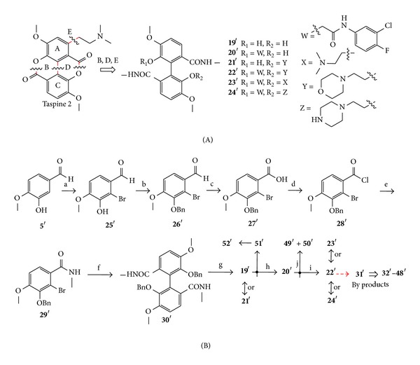 Scheme 4