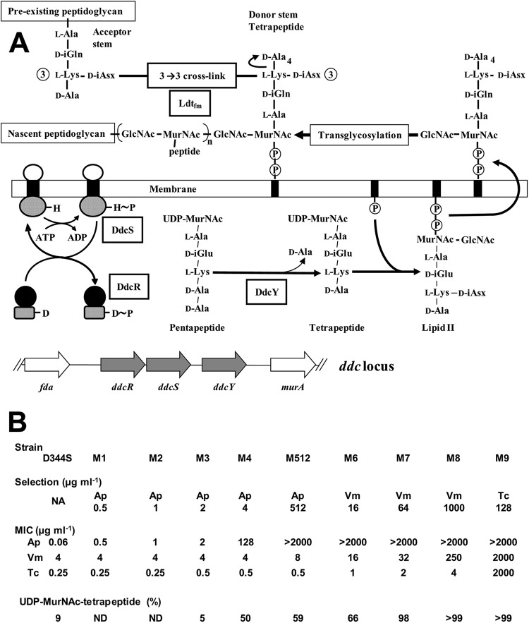 FIG 1