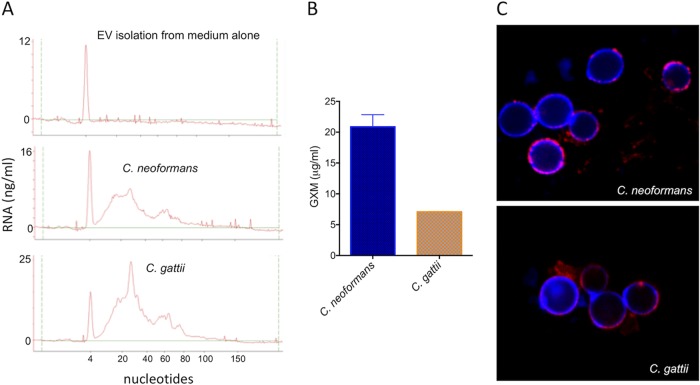 FIG 3