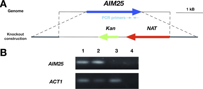 FIG 4