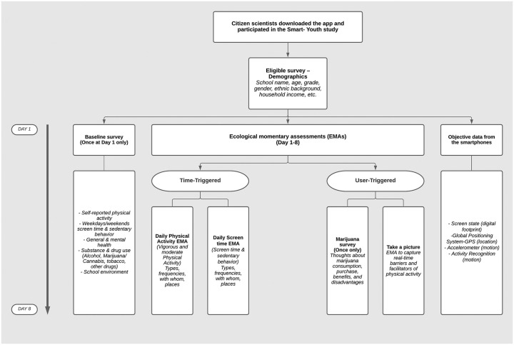 Fig 1