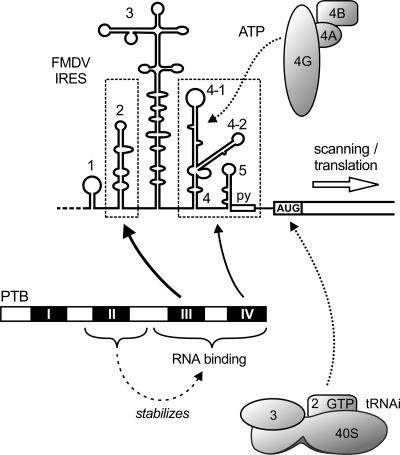 FIGURE 7.