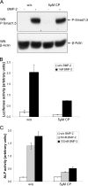 FIG. 8.