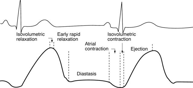 Figure 6  