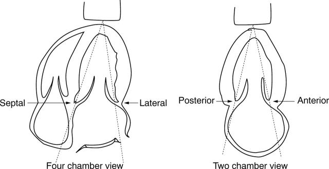 Figure 5  