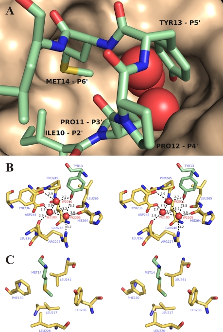 FIGURE 10.