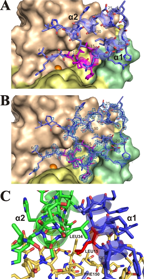 FIGURE 7.