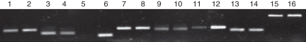 Fig. 8.