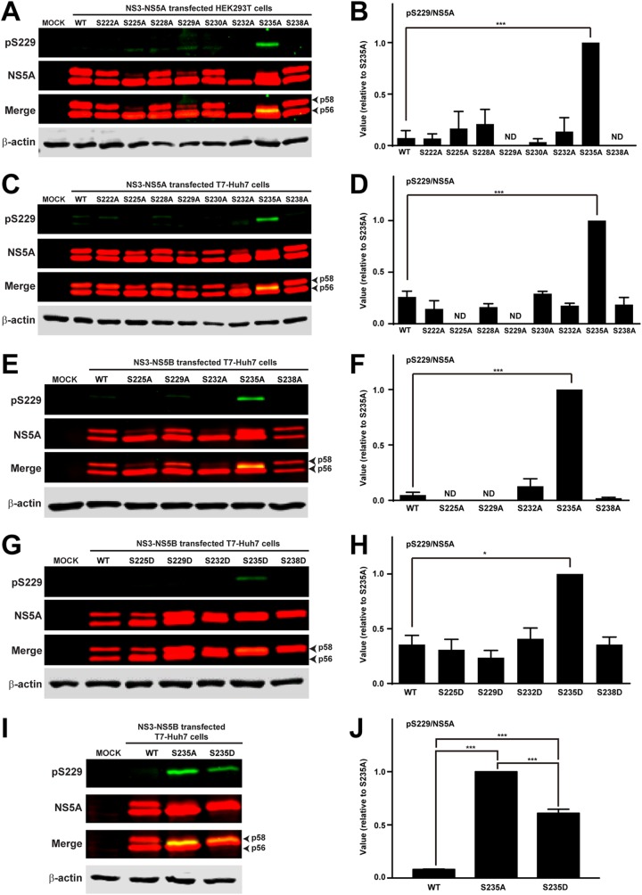 FIG 2