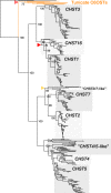<sc>Fig</sc>. 1.