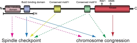 Figure 10.