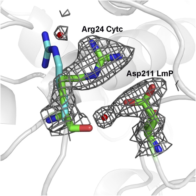 Fig. 2.