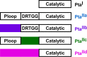 FIG 2