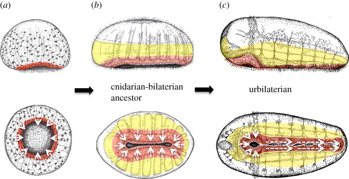 Figure 7.