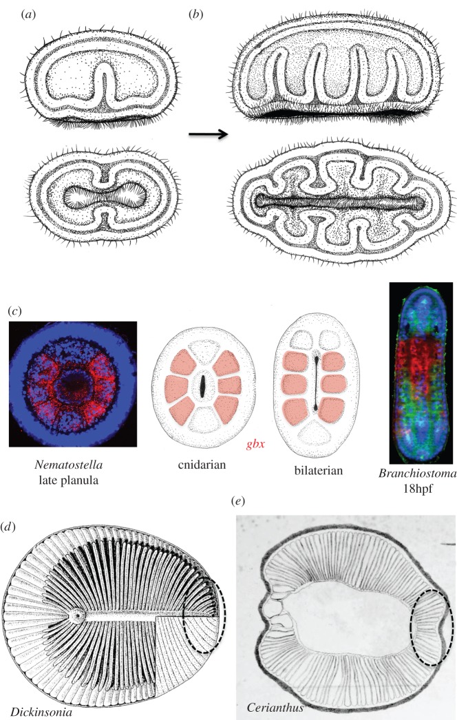 Figure 6.