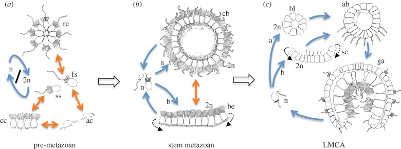 Figure 2.