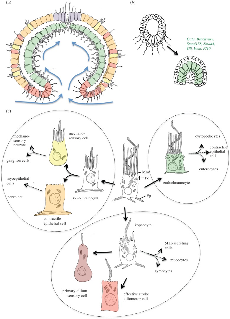 Figure 3.