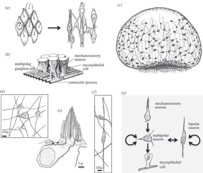 Figure 5.