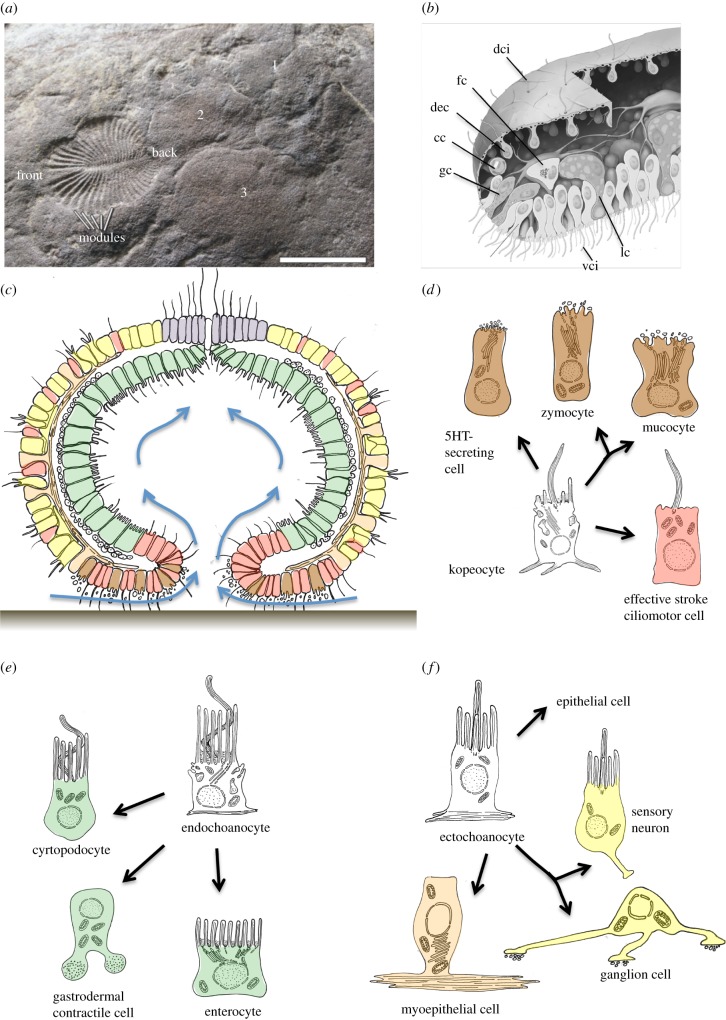 Figure 4.