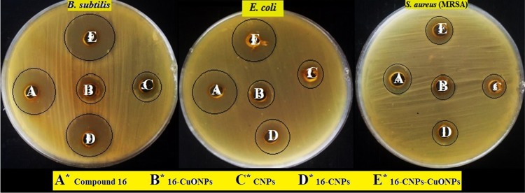 Figure 11