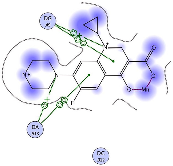 Figure 12