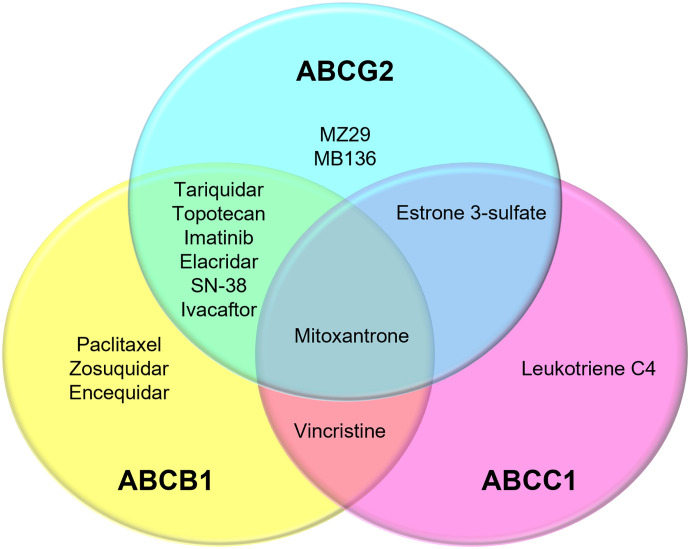 Fig. 7.