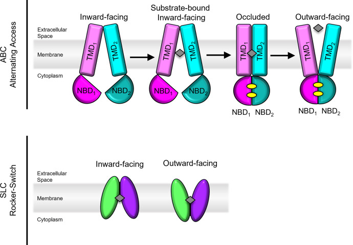 Fig. 2.