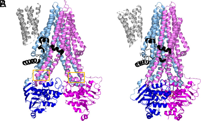 Fig. 4.