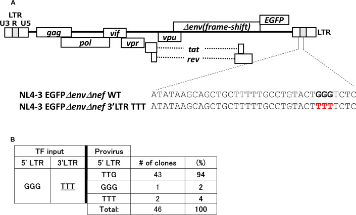 Fig 5