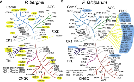 Figure 1