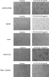 Fig 9
