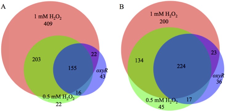 FIG 2