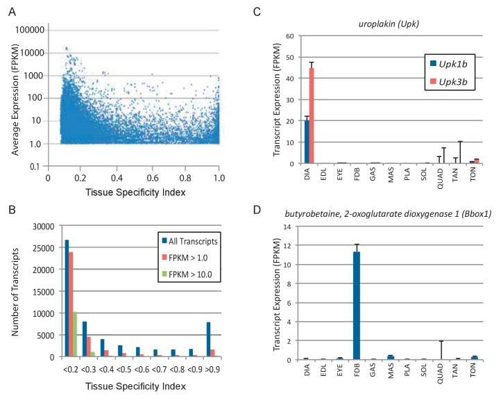 Figure 1—figure supplement 6.