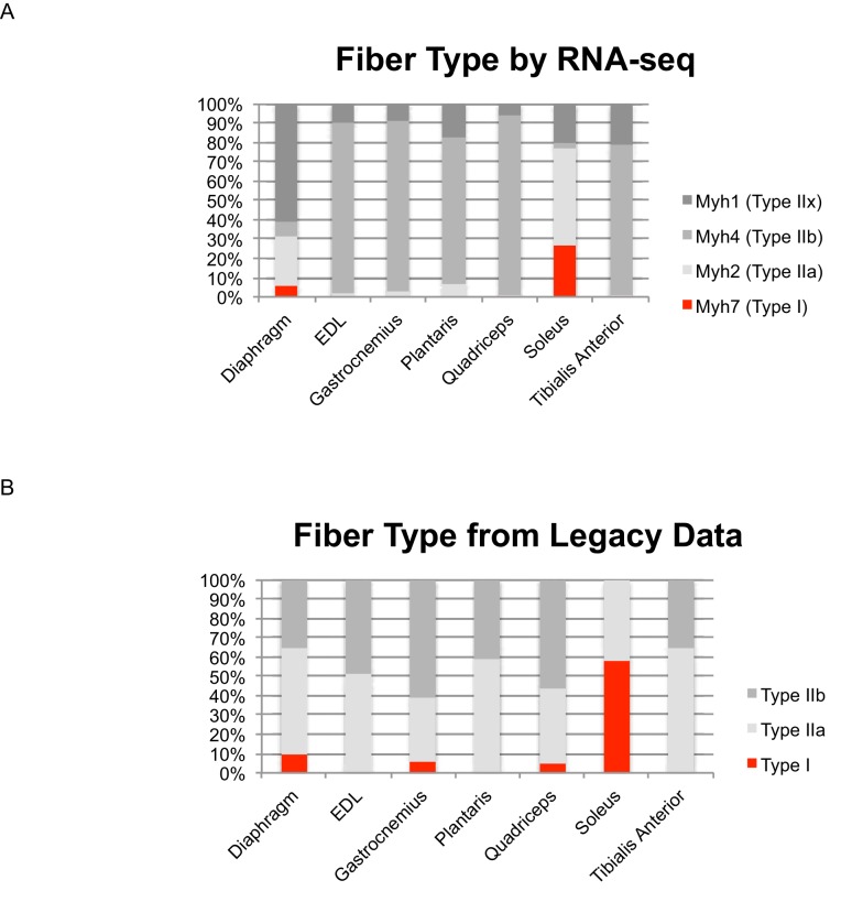 Figure 3—figure supplement 1.